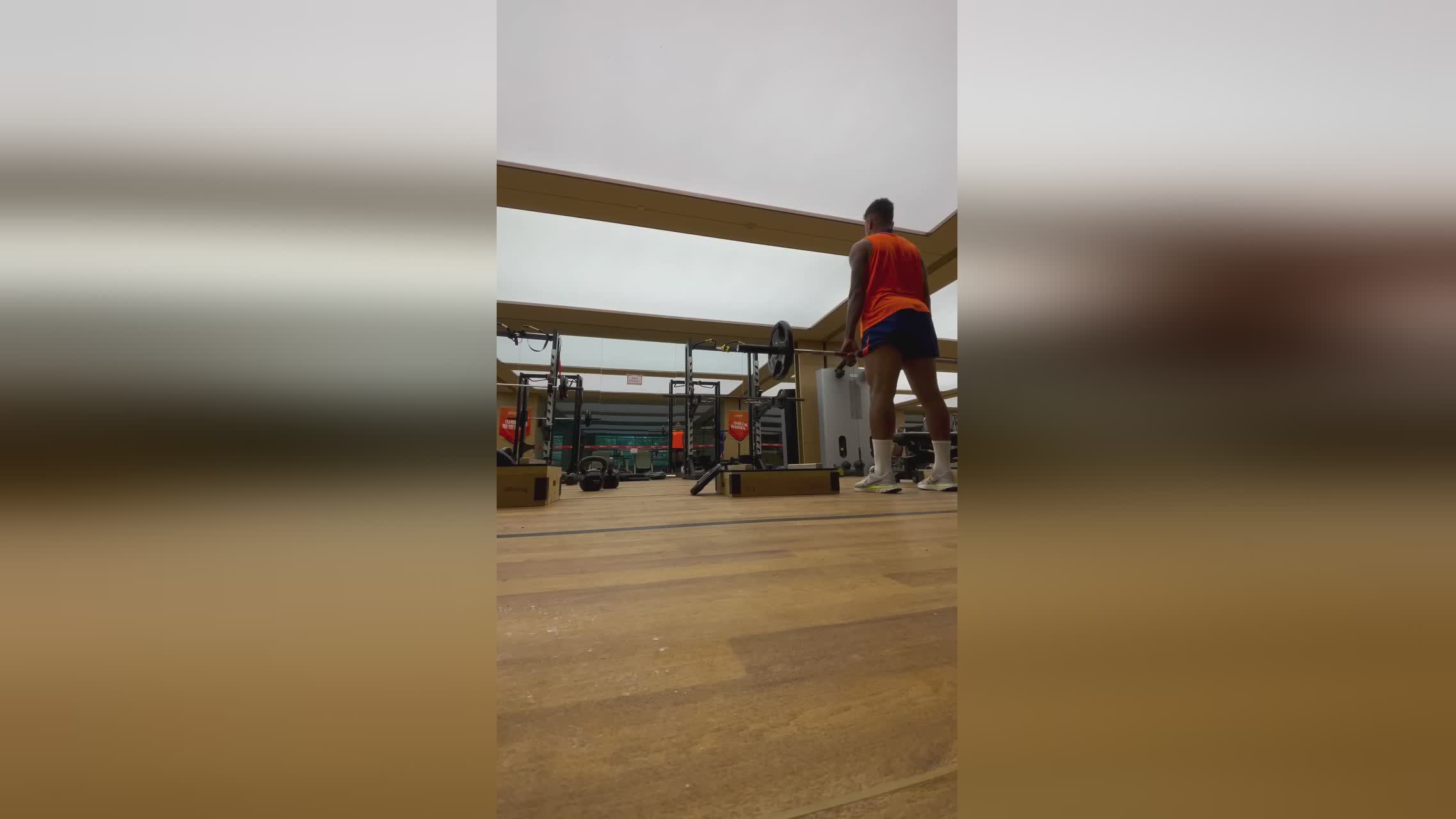 查看更多视